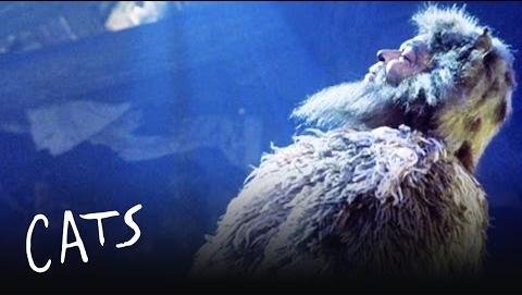 Mark Vincent Stars as Old Deuteronomy in CATS